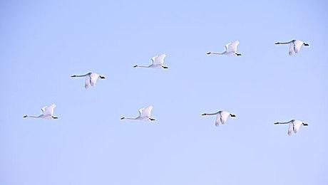 奖项再加一 《博德之门3》获2024年雨果奖最佳游戏奖